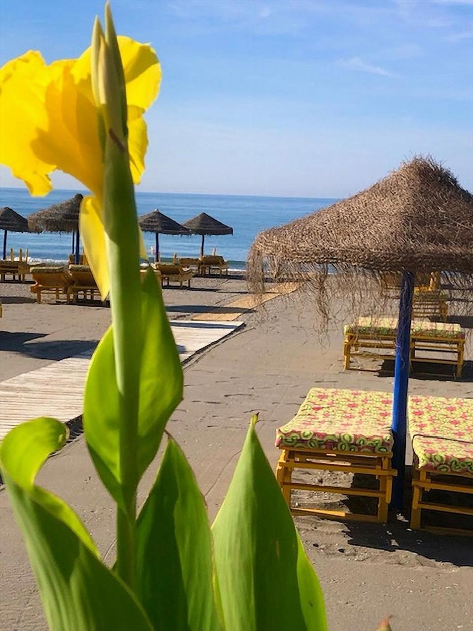 Spacious 1 Bedroom Apartment, Beach Front, Torrox Costa Eksteriør billede